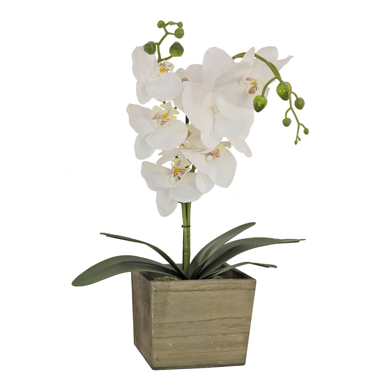 21&#x22; Orchid Flower In Wood Box